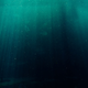 Imagen: Blaque X (Pexels)
